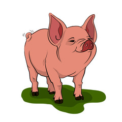 2019 year symbol. Cute pink pig with cheerful smiling face, cartoon vector illustration on white background. Domestic animal clipart. 