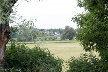 Netherlands,Gelderland,Oosterbeek,august 2017: