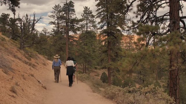 a group of active seniors hiking on a trail in the nature, healthy lifestyle