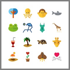 tropical icons set. tropical, horned, squid and america graphic works