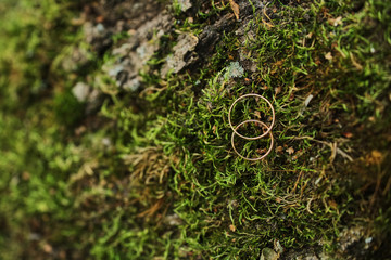 Macro Photograph of Wedding and Engagement Rings sitting on top of Moss