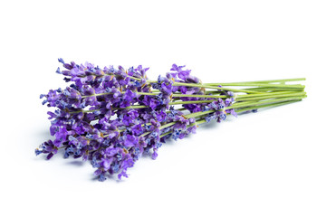 Obraz premium Lavender flowers on white background