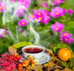 autumn still life with a cup of tea in the garden