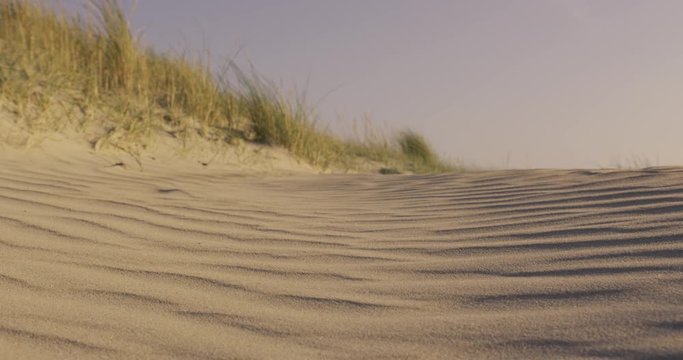 beach in autumn - denmark
