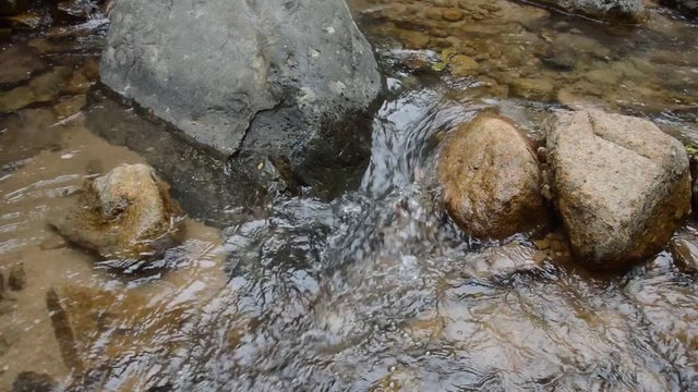 water run through river pass rock and stone in forset