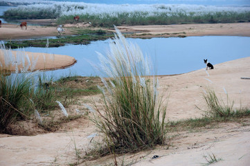 Landscape with River