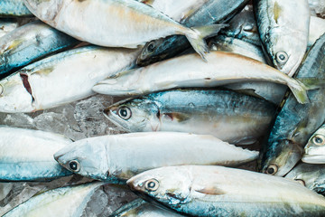 Short mackerel on market In Thailand. There is a simple and delicious way to cooking short mackerel.