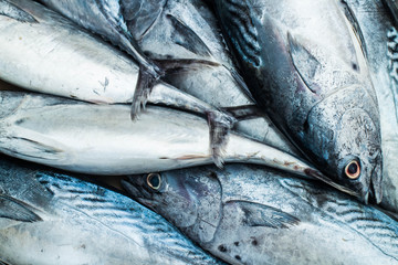 Longtail tuna on market. High protein and cheap. It is very abundant in the andaman sea phuket area...