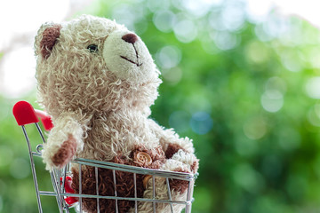 Smiling teddy bear doll sitting in mini shopping cart or trolley against blurred natural green background for children gift