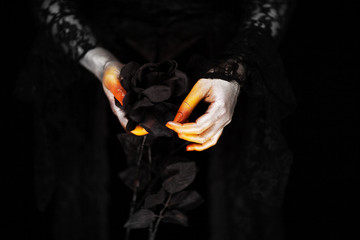 Creepy halloween vampire hands close up in red orange and silver holding black rose, can be used as...