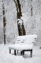 Snow-covered winter park and benches. Winter landscape