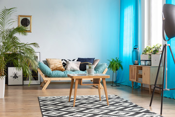 Green plant in white pot in bright living room with wooden coffee table, patterned carpet and couch with pillows