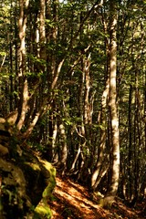 very nice view of cento laghi park near parma