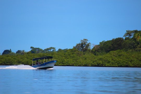 Speedboat crossing a lagoon in Bocas del Toro, Panama