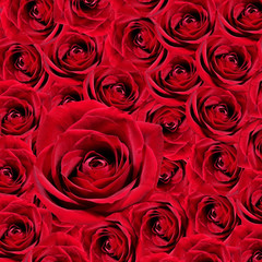Rose rosse