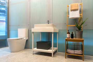 Modern bathroom with white toilet bowl, wash basin sink, hanging cloth interior contemporary