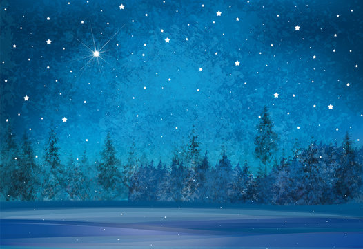 Vector winter wonderland background. Starry night sky and forest background.