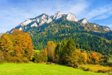 Road leading to Trzy Korony (Three Crowns) peak in Pieniny National Park, Poland. Scenic view on a warm sunny autumn day with a pasture, hut and a grazing goat. © Milosz Maslanka