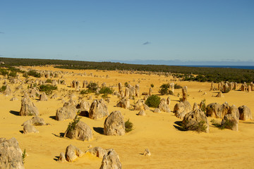 Dessert at the Pinacles landscape with a blue sky
