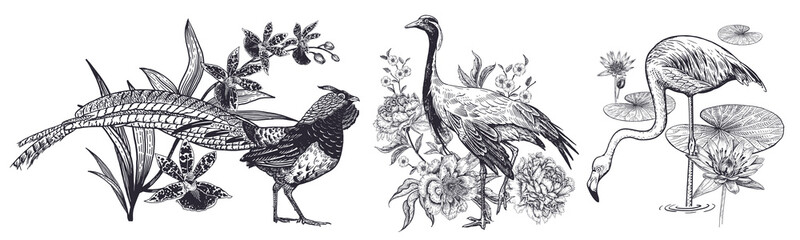 Pheasant and orchid, Crane and peonies, flamingos and water lily. Vintage engraving. © marinavorona
