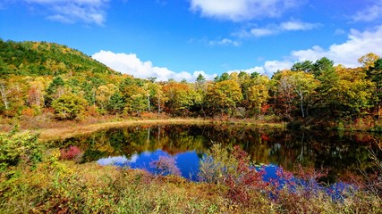 一沼、長野県志賀高原、紅葉