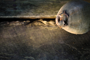 Coconut close up on background..