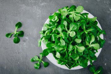 Fresh green Corn salad leaves or lamb's lettuce in bowl © NBLX