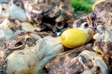 Roasted sheep heads (kuzu kelle paca) at a restaurant in Ankara, Turkey, selective focus