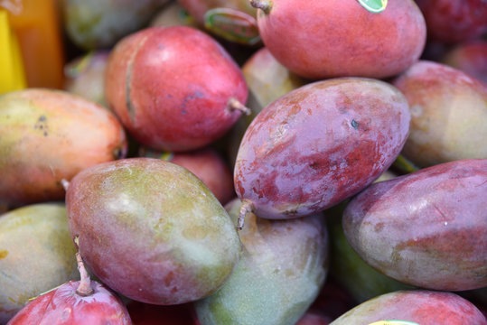 Mangues Bilder Durchsuchen 742 Archivfotos, und Videos