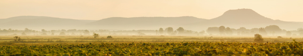 Fototapeta na wymiar Foggy morning in the countryside, panoramic view.