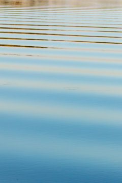 The surface of the water in the pond at sunset as a background