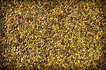 Small yellow stones on the road surface as background