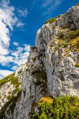 View at the Buchstein mountain, Germany, Bavaria. Vertical. Tegernsee Mountains