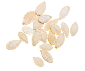 Pumpkin seeds isolated on white background