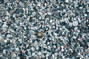 Pebbles on the sea beach shot at sunrise