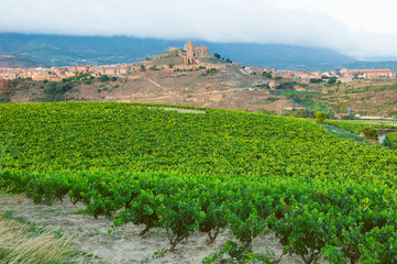 Fototapeta na wymiar Vineyards. Rioja, Spain. San Vicente de la Sonsierra. Sonsierra.