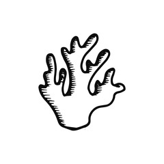seaweed icon. sketch isolated object black