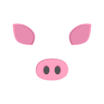 Pig face. Nose and ears.