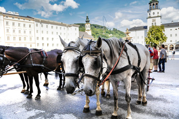 Obraz na płótnie Canvas horse and carriage