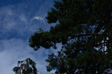Seifenblase fliegt hohch.