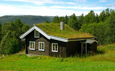 house in the forest