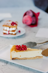 Cheesecake with red currant berries on white plate.