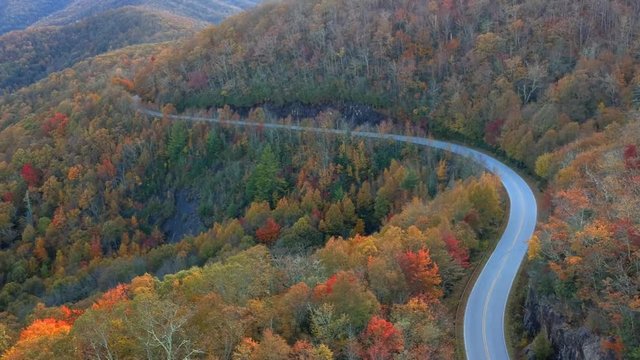 Aerial Drone view of Fall / Autumn leaf foliage on Highway 215  from above. Vibrant yellow, orange, and red colors in Asheville, NC in the Blue ridge Mountains.