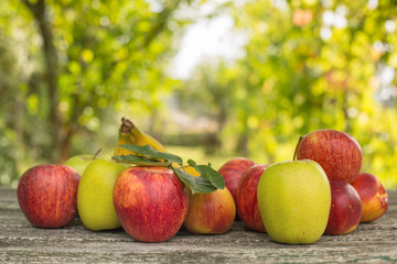 fruits
