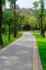 Jogging track at green garden. Summer time.