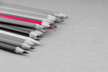 Black and white photo of pencils with on red pencil. Concept of individuality