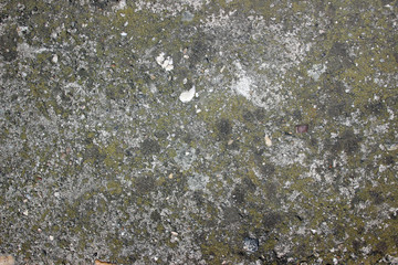 Mossy concrete surface texture detail close up