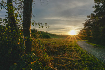 Sunset in the field