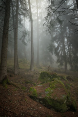 Obraz premium Foggy cold mountains