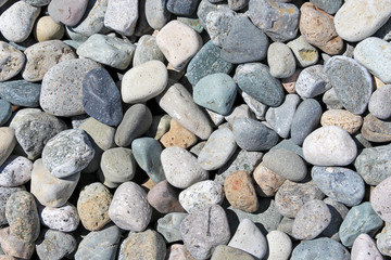 Background of various pebbles